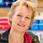 Prof dr Jolanda de Vries